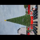 Der Weihnachtsbaum vor der Mall „Central Plaza“